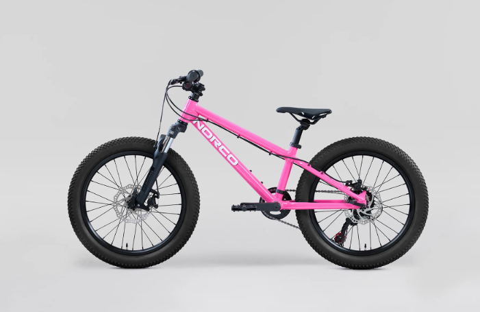 BICICLETA NORCO STORM 20