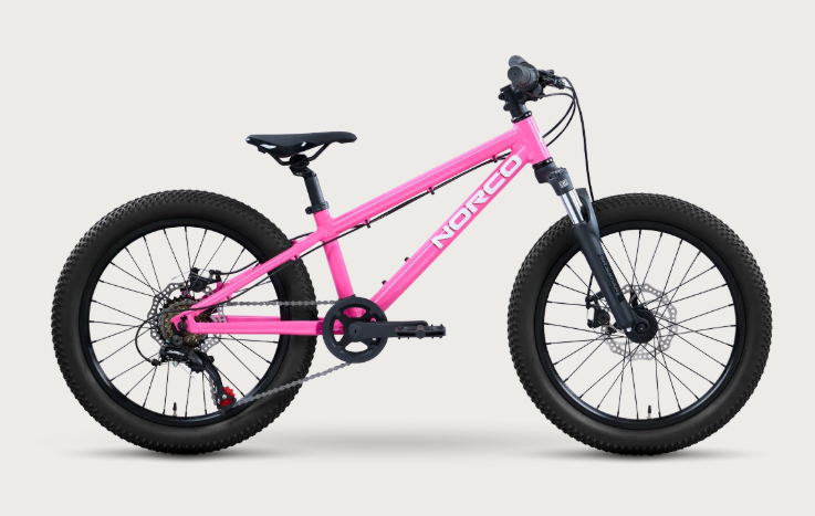 BICICLETA NORCO STORM 20